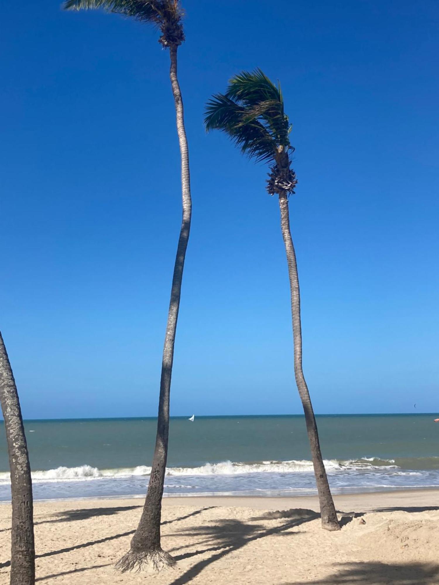 Eco Paradise Cumbuco Pe Na Areia 202 エクステリア 写真